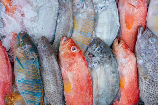 Świeże ryby morskie na sprzedaż na targu żywności ulicznej na Borneo w Malezji z bliska owoce morza