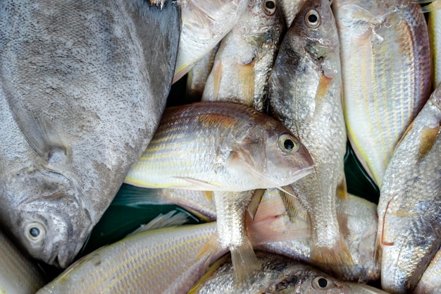 Świeże ryby morskie na targu ulicznym w Tajlandii Koncepcja owoców morza Surowe ryby do gotowania z bliska