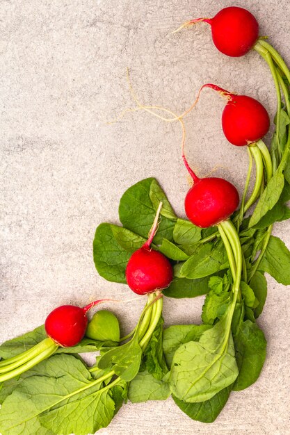 Zdjęcie Świeże rzodkiewki organiczne