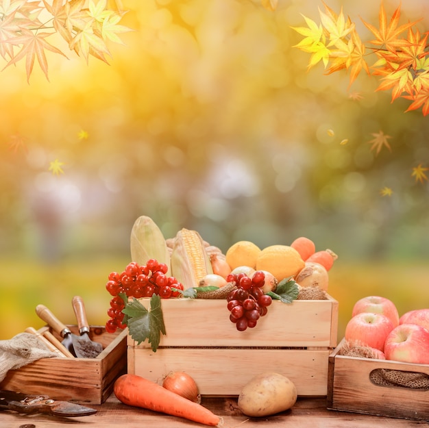 Świeże warzywa organiczne do gotowania sałatki. Dieta i zdrowa żywność. Spadek róg obfitości zbiorów w sezonie jesiennym.