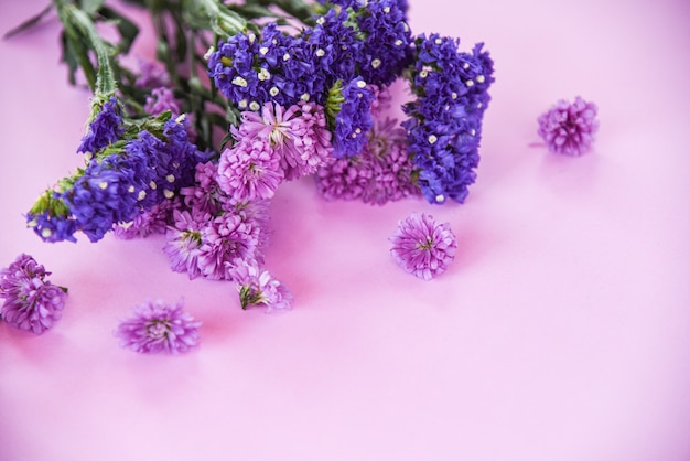 Świeże wiosenne purpurowe kwiaty Marguerite i statice kwiaty ramki roślin skład na fioletowym miękkim różu