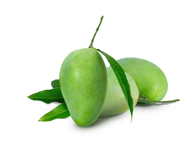 Świeże zielone mango i liście z cieniem na białym tle do projektowania graficznego