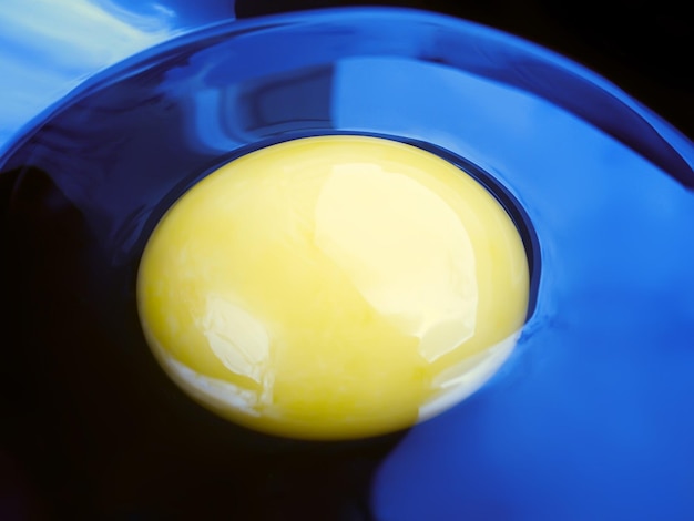 Świeże żółtko jaja