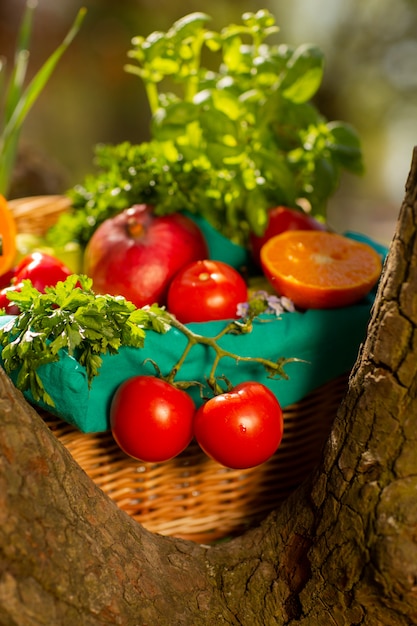 Świezi organicznie warzywa w łozinowym koszu w ogródzie na drzewie