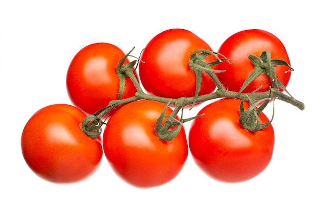 Świezi pomidory na zielonej gałąź odizolowywającej na bielu. Solanum lycopersicum