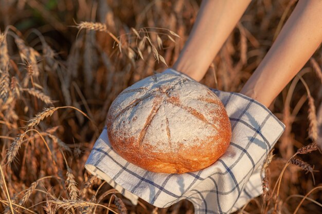 Świeżo upieczony bochenek chleba na polu pszenicy lub żyta. Kobieta trzyma bochenek żyta, świeży chleb na tle pszennych kłosów. Chleb żytni pełnoziarnisty na serwetce w kratkę