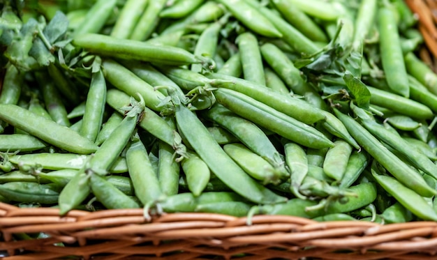 Świeżo zebrany zielony groszek sprzedawany w koszyku na targu rolników organicznych surowych warzyw