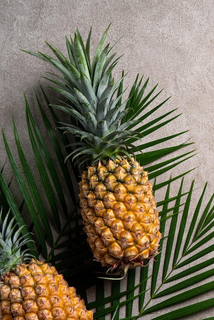 Świeży ananas z tropikalnymi liśćmi na szarym tle