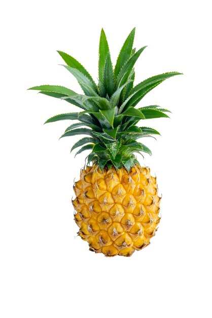 Świeży Ananas