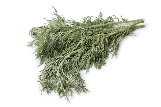 Świeży Artemisia Absinthium