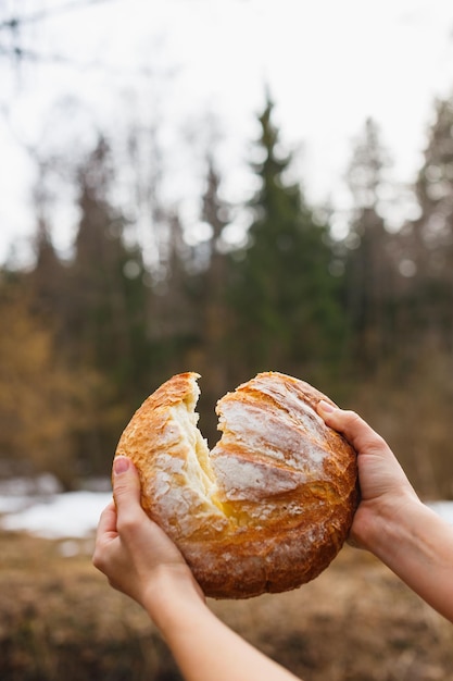 Świeży biały chleb na tle lasu, otwierając kobiece dłonie