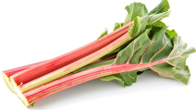 Świeży, cały rabarbar o naturalnej teksturze