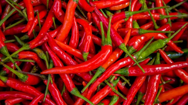 Świeży Czerwonych Chillies tło, Selekcyjna ostrość. Tajskie chilli. Organiczne składnik tajskie jedzenie.