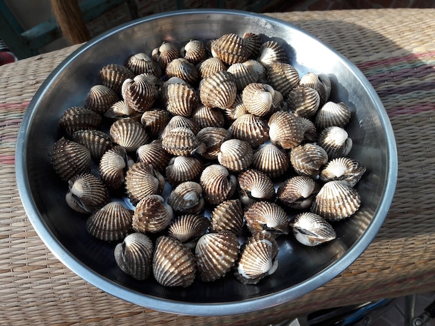 Zdjęcie Świeży kąkol w tray.raw sercówki do sprzedaży na rynku do gotowania na parze