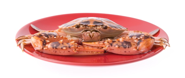 świeży krab na czerwonym talerzu odizolowywającym na białym tle