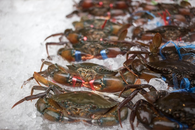 Świeży krab na lodzie dla służyć klientowi