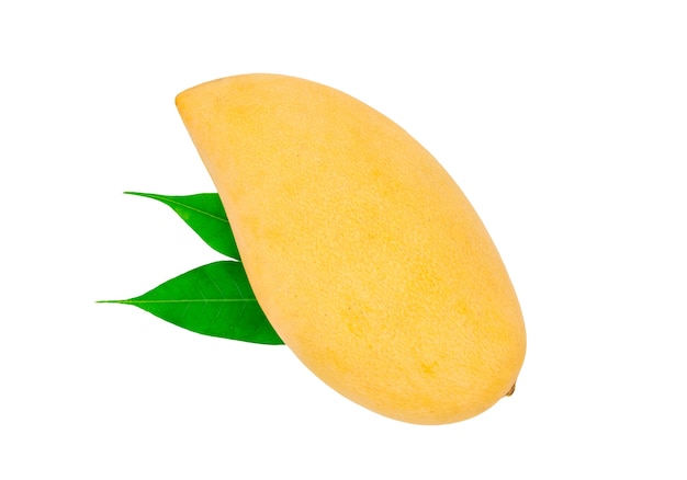 Świeży mango na białym tle