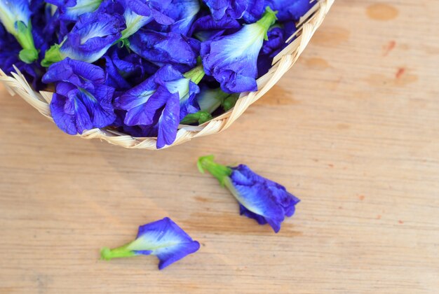 Świeży Motyli grochowy kwiat, Clitoria ternatea na drewnianej desce