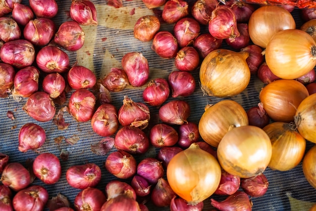 Świeży organicznie stos czerwone szalotki i cebule sprzedaje w miejscowego rynku dla karmowego składnika