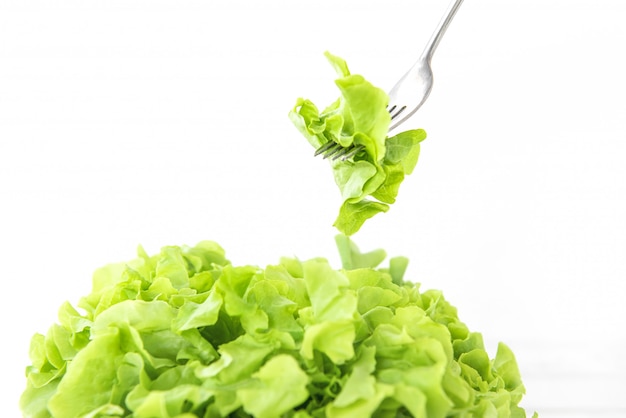 Świeży organiczny zdrowy zielony dębowy sałaty warzywo dla sałatki