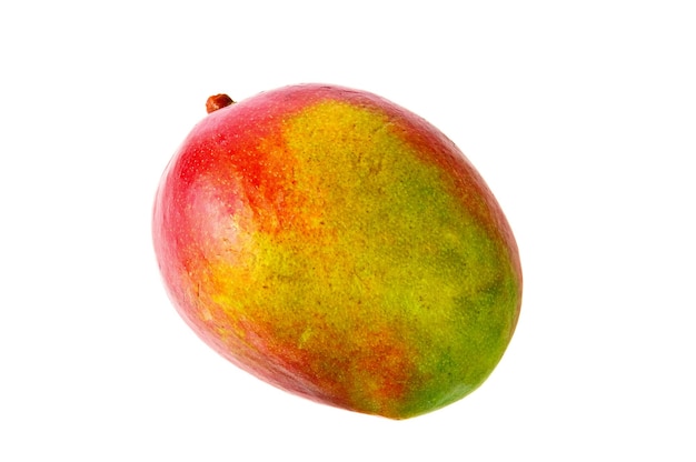 świeży owoc mango