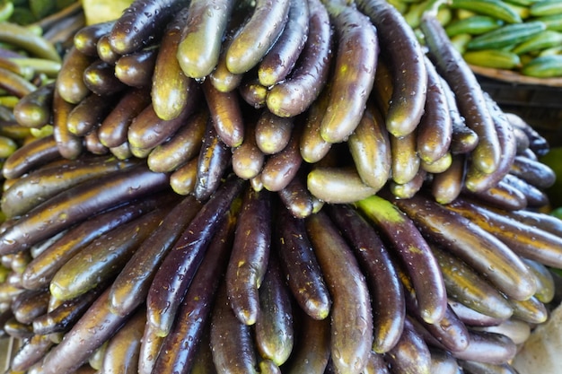 Świeży piękny brinjal gotowy do gotowania