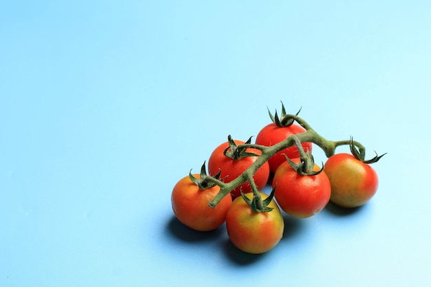 Świeży Pomidor Koktajlowy Z łodygą Na Białym Tle Na Niebieskim Tle, Miejsce Po Lewej Stronie