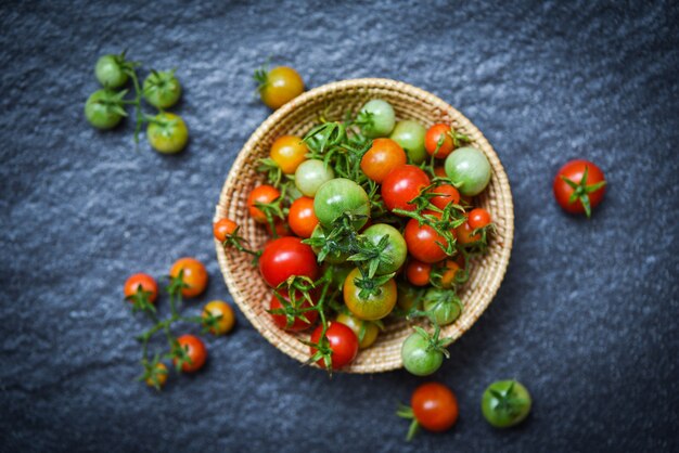 Świeży pomidor organiczny z zielonym i zbioru dojrzałych czerwonych pomidorów w koszu na ciemnym