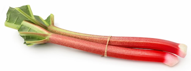 Świeży rabarbar