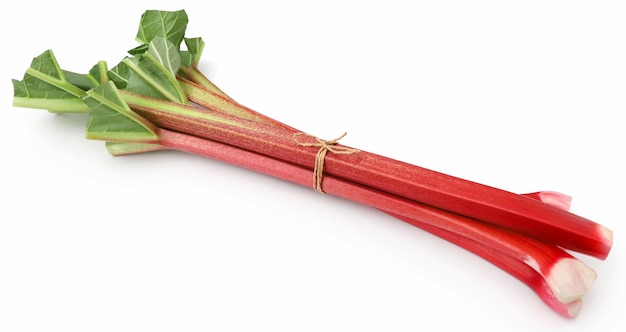 Świeży rabarbar