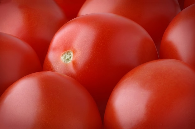 Świeżych śliwkowych pomidorów horyzontalny tło