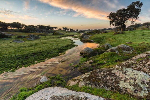 Świt w strumieniu w pobliżu Arroyo de la luz. Extremadura. Hiszpania.