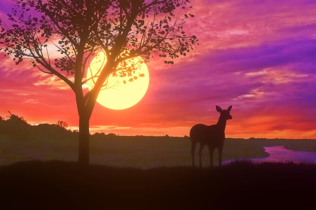 Sylwetka jelenia stojącego na prawie dużym drzewie z pięknym tłem o zachodzie słońca o zmierzchu