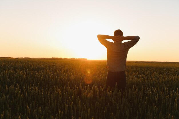 Sylwetka mężczyzny patrzącego na piękny krajobraz na polu o zachodzie słońca