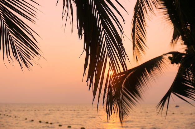 Sylwetka Palmy Kokosowe Na Tle Morza I Zachodu Słońca Na Niebie