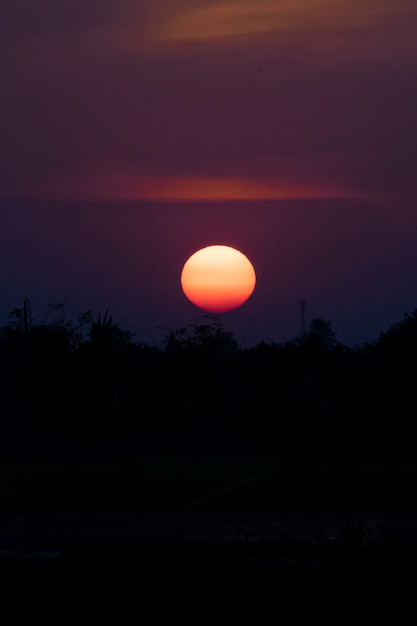 Sylwetka pejzażu drzew na tle nieba o zachodzie słońca Dawn sunset