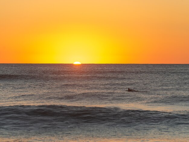 Sylwetka Pływania Surfer Do Wschodu Słońca. Narrabeen, Sydney, Australia.