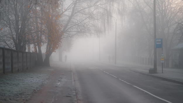 Sylwetki ludzi chodzących i jeżdżących na rowerze po chodniku miejskiej drogi