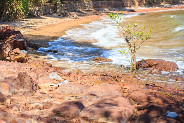 Sylwetki piękna sceneria plaża przy Chanthaburi w Tajlandia. Podróż i naturalne Conce