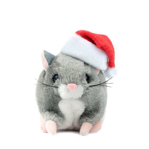 Symbol 2020 szczura na białym tle na białym tle w Boże Narodzenie kapelusz