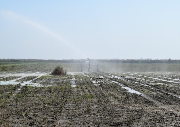 System nawadniania na polu melonów Nawadnianie pól Sprinkler