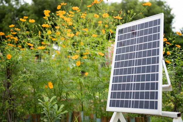 System paneli słonecznych w pobliżu domu fotowoltaiczne alternatywne źródło energii elektrycznej koncepcja zrównoważonych zasobów paneli słonecznych