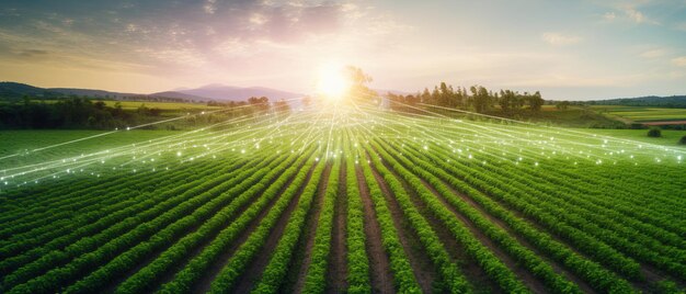 System rolnictwa precyzyjnego wykorzystuje sztuczną inteligencję do optymalizacji plonów