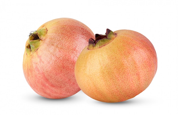 Syzygium jambos lub różany jabłko odizolowywający na bielu