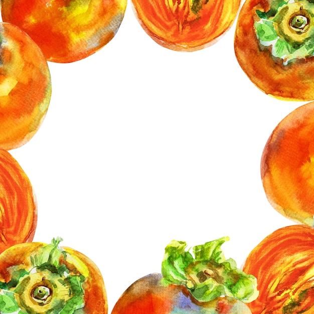 Szablon pomarańczowego owocu persimonu z liśćmi Akwarelą ręcznie narysowane elementy izolowane na tle