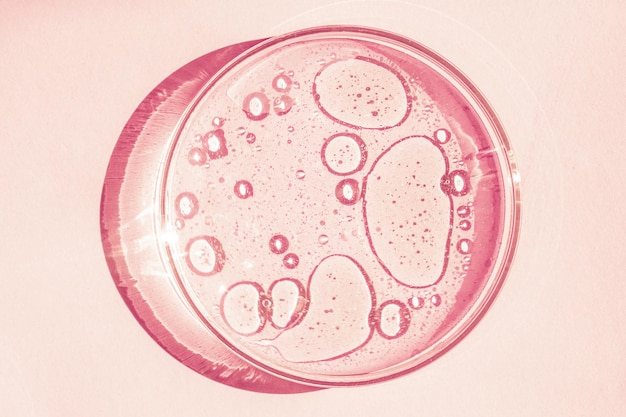 Szalka Petriego Kubek Petriego z płynem Pierwiastki chemiczne olej kosmetyki Żel cząsteczki wody wirusy Zbliżenie Na różowym tle