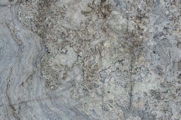 Szara powierzchnia z marmurowego kamienia z pasiastymi smugami.