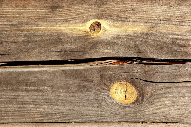 szara stara drewniana deska tekstura z żółtymi gałązkami, drewniane tło