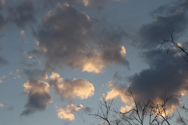 Zdjęcie szarobiałe puszyste chmury na błękitnym niebie
