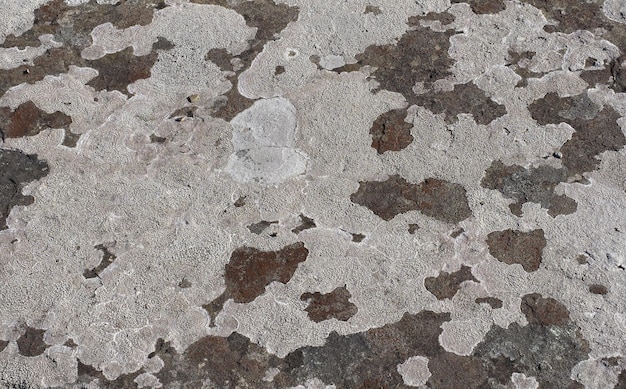 Szary betonowy tekstury tło